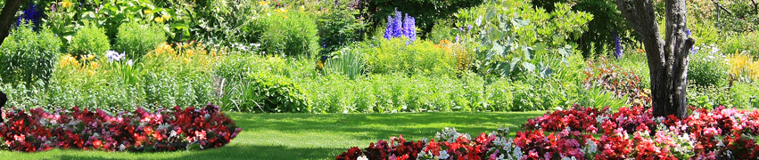 Planting Design Planting Design